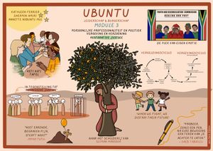 Visuele samenvatting Module 3 — Persoonlijke professionaliteit & politiek