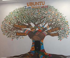 Ubuntu boom